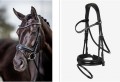 LeMieux Dressage Bridle